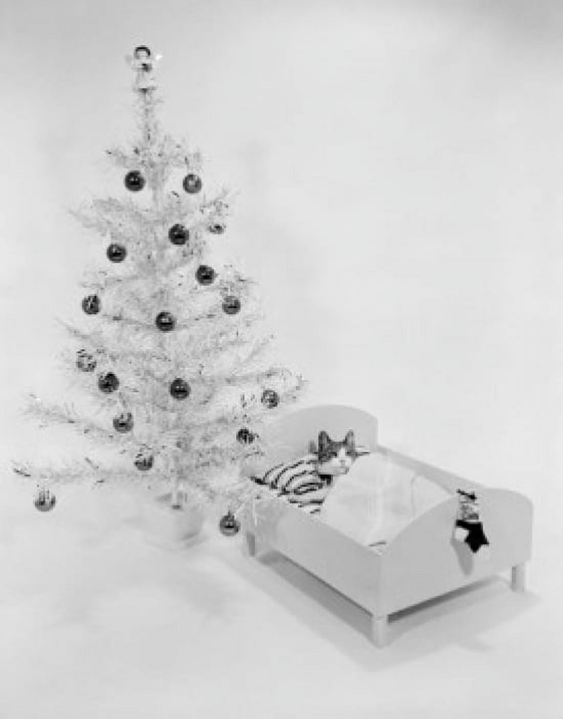 Cat in Christmas cradle Canvas Art - (18 x 24)