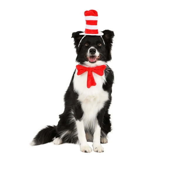 Cat in The Hat Pet Costume