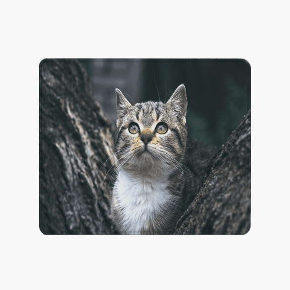 Cat in Tree Mouse Pad 9.44 x 7.87 Inches - Cute Kitten Photo Design for Desk Use