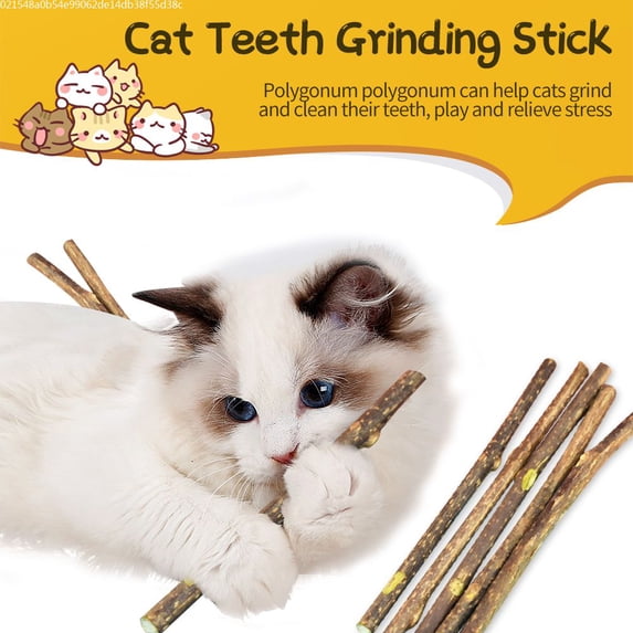 Cat molar stick Mu Tianli cleans teeth to tease the cat stick to relieve boredom from the self-healing cat supplies toy cat snacks