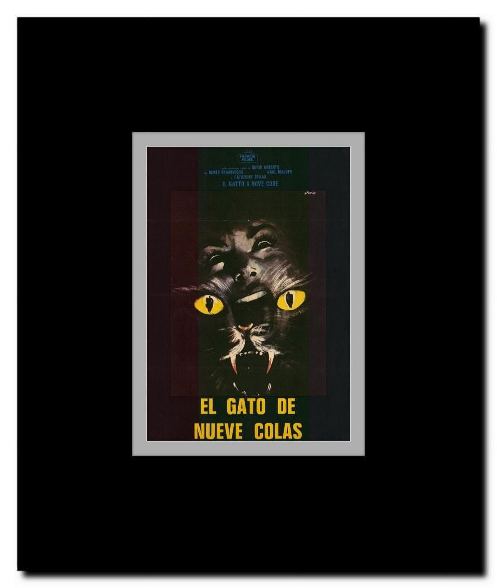 Cat o' Nine Tails Framed Movie Poster