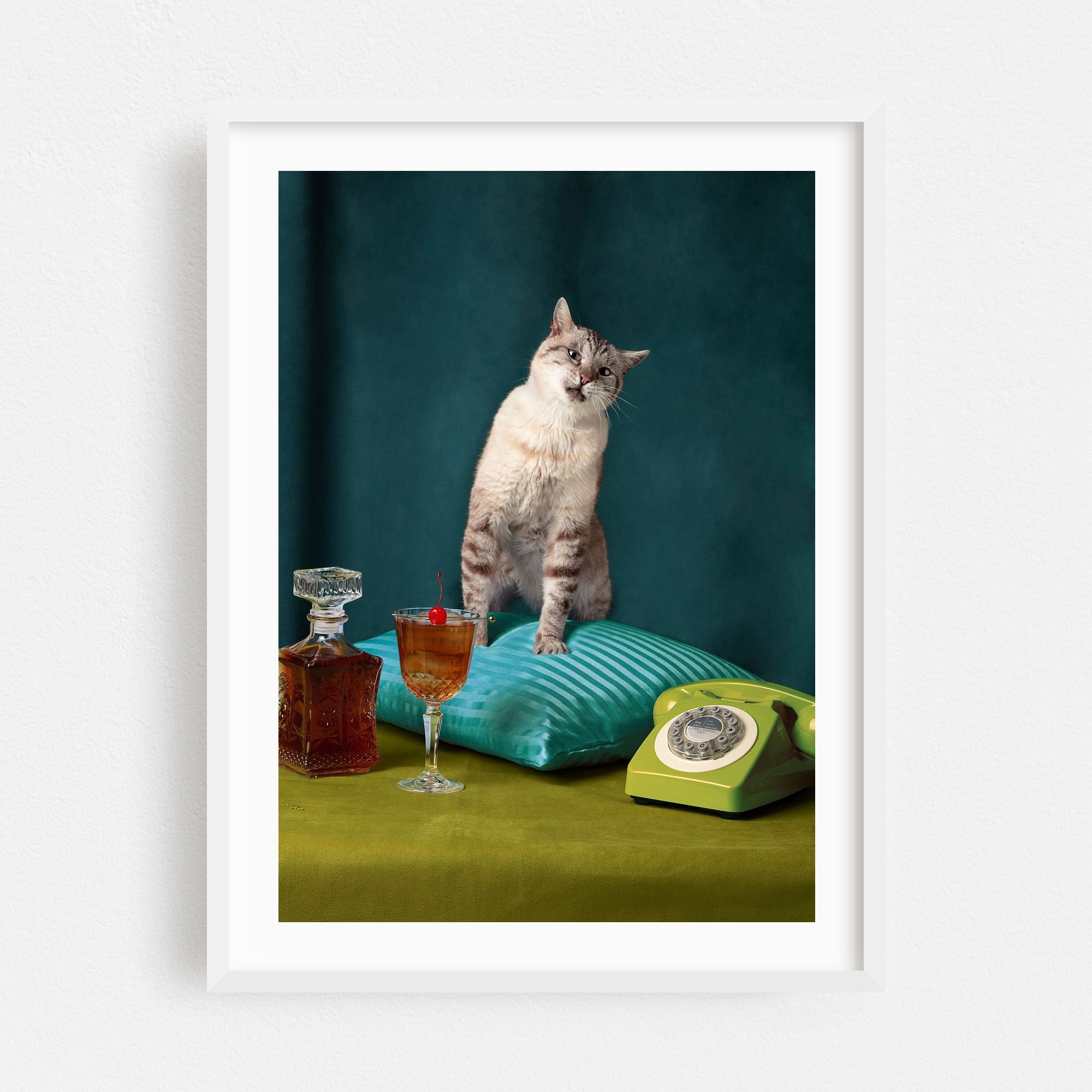 Cat on fancy cushion - Photography Cat Vintage Humor Retro Cocktail ...