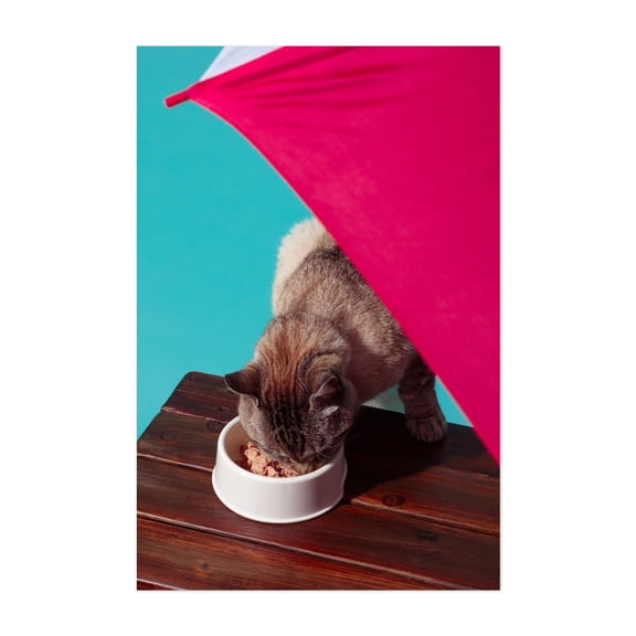 Cat picnic day - Photography Cat Summer Beach House Humor Unframed Wall Art Print 5 x 7 inches