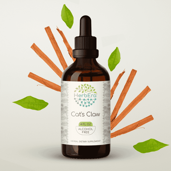 HerbEra Cat's Claw Tincture, Herbal Dietary Supplement for Immune Support, Cat's Claw (Uncaria tomentosa) Dried Inner Bark Extract, Natural, Alcohol-Free, Drops 4 oz