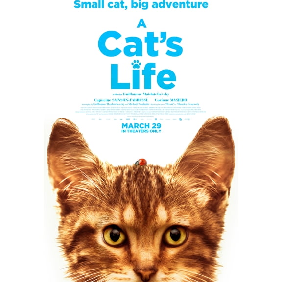 Blue Fox Ent - Cat's Life [DIGITAL VIDEO DISC]