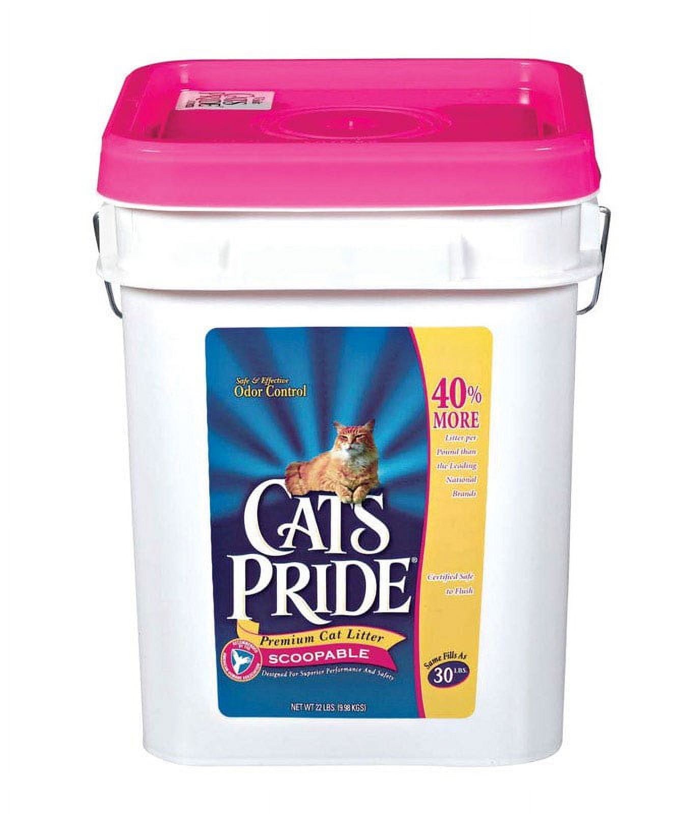 Cat's Pride 01923 Cat Litter, 22lb