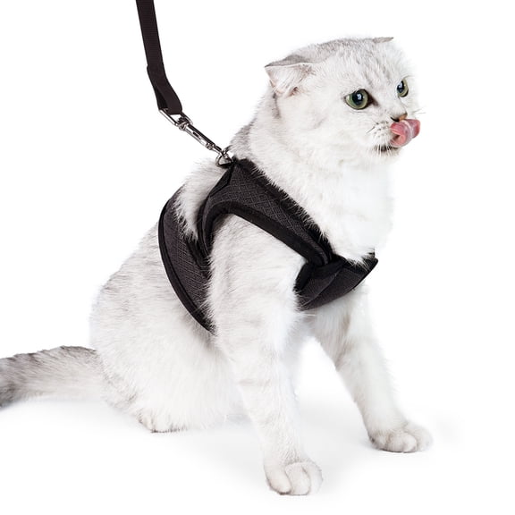 Cat strap, for walking and escaping, adjustable cat vest strap