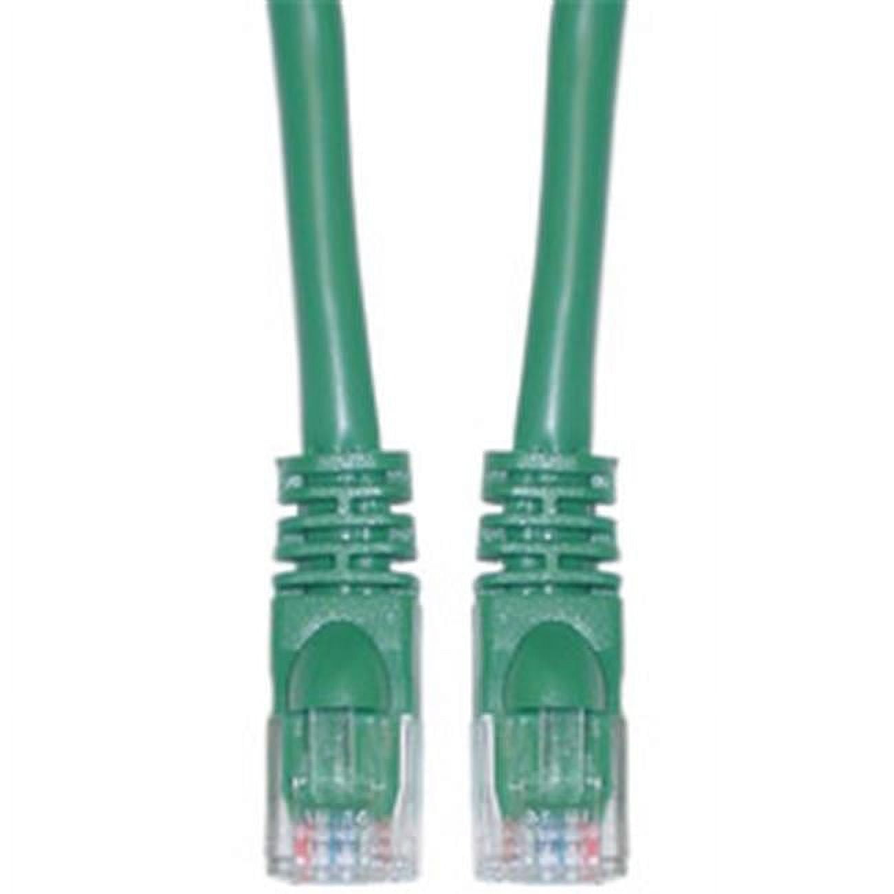 Cat6 Green Ethernet Patch Cable  Snagless Molded Boot  100 foot