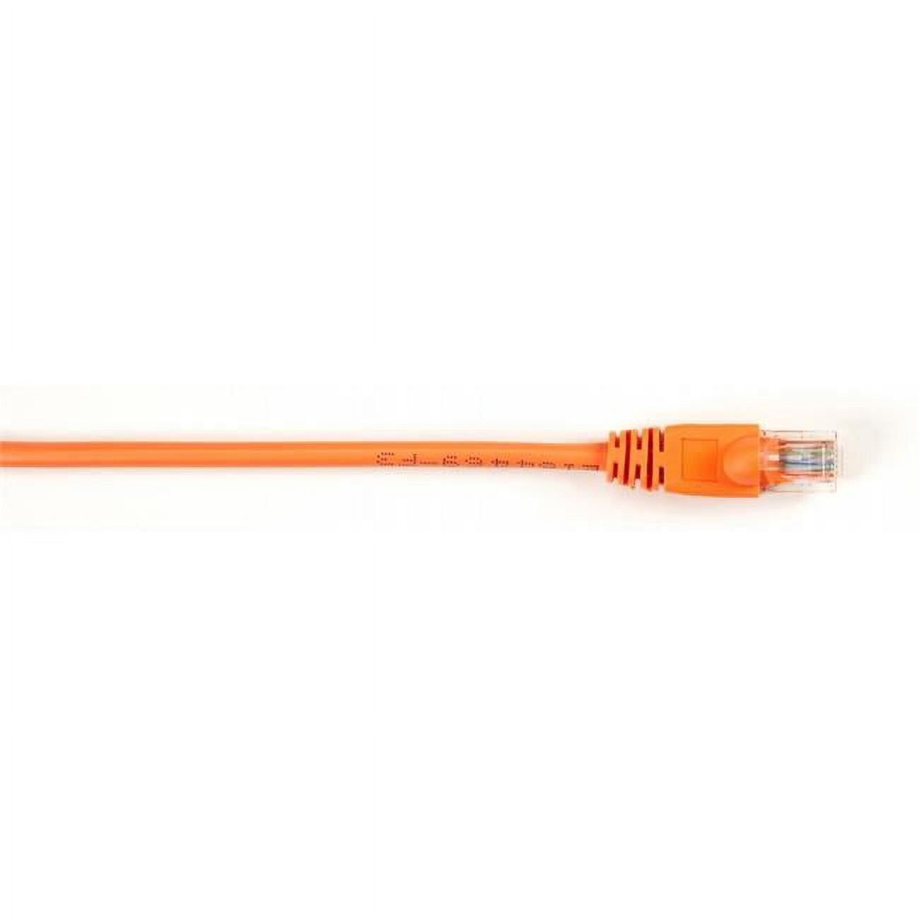 おれんじ Cat6 Patch Cables Orange - Walmart.com