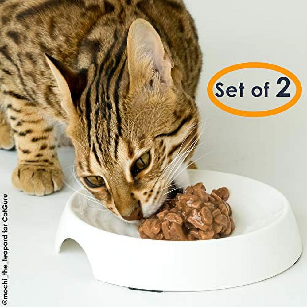 CatGuru Cat Bowls, Whisker Stress Free Food Bowl, Reliefs Fatigue, Wide