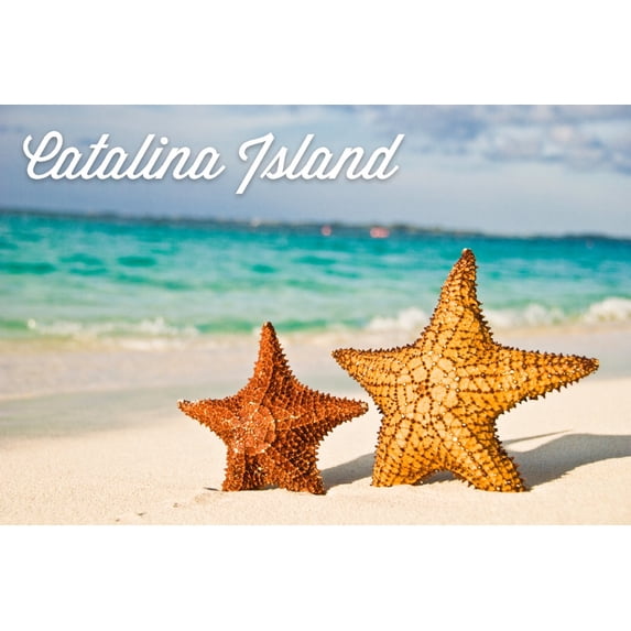 Catalina Island, California, Star Fish on Beach (9x12 Wall Art Print, Home Decor)