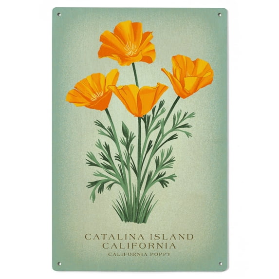 Catalina Island, California, Vintage Flora, State Series, California Poppy Birch Wood Wall Sign (6x9 Rustic Home Decor, Ready to Hang Art)