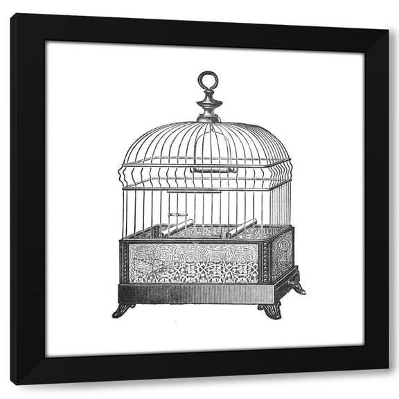 Catalog Illustration 12x12 Black Modern Wood Framed Wall Art Titled - Etchings: Birdcage - Gable top, filigree base.