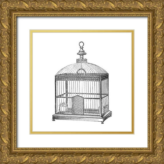 Catalog Illustration 12x12 Gold Ornate Wood Framed with Double Matting Museum Art Print Titled - Etchings: Birdcage - Arched top, filigree detail.