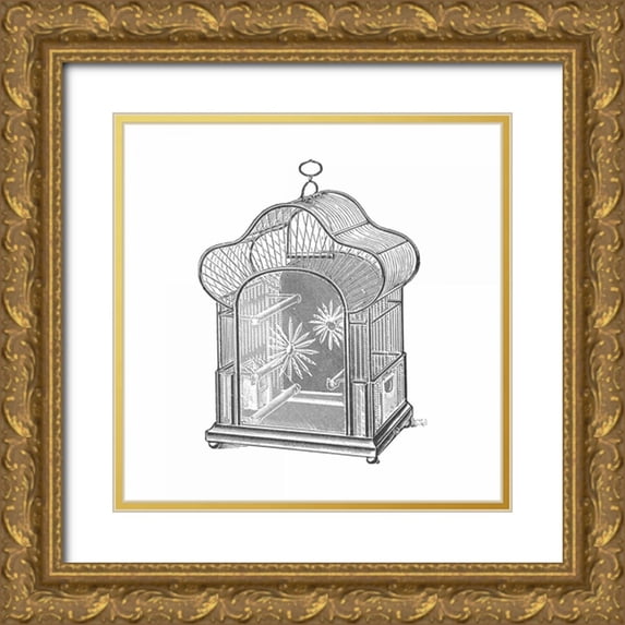 Catalog Illustration 15x15 Gold Ornate Wood Framed with Double Matting Museum Art Print Titled - Etchings: Birdcage - Palmate top, daisy detail.