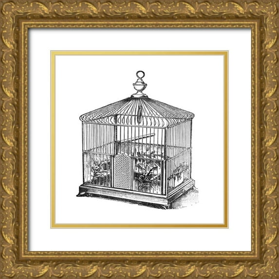 Catalog Illustration 20x20 Gold Ornate Wood Framed with Double Matting Museum Art Print Titled - Etchings: Birdcage - Onion peak top, floral base.