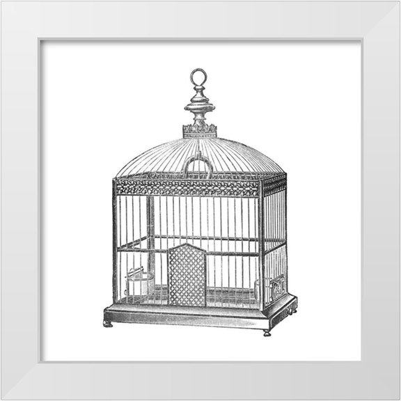 Catalog Illustration 26x26 White Modern Wood Framed Museum Art Print Titled - Etchings: Birdcage - Arched top, filigree detail.
