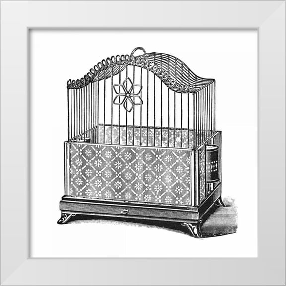 Catalog Illustration 26x26 White Modern Wood Framed Museum Art Print Titled - Etchings: Birdcage - Flower detail.