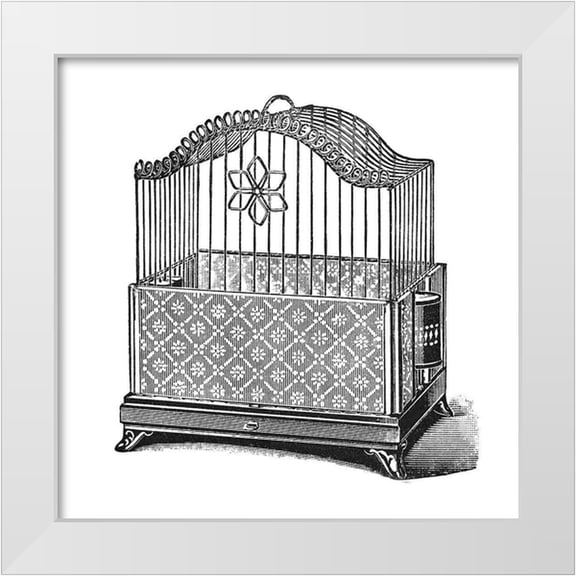 Catalog Illustration 26x26 White Modern Wood Framed Museum Art Print Titled - Etchings: Birdcage - Flower detail.