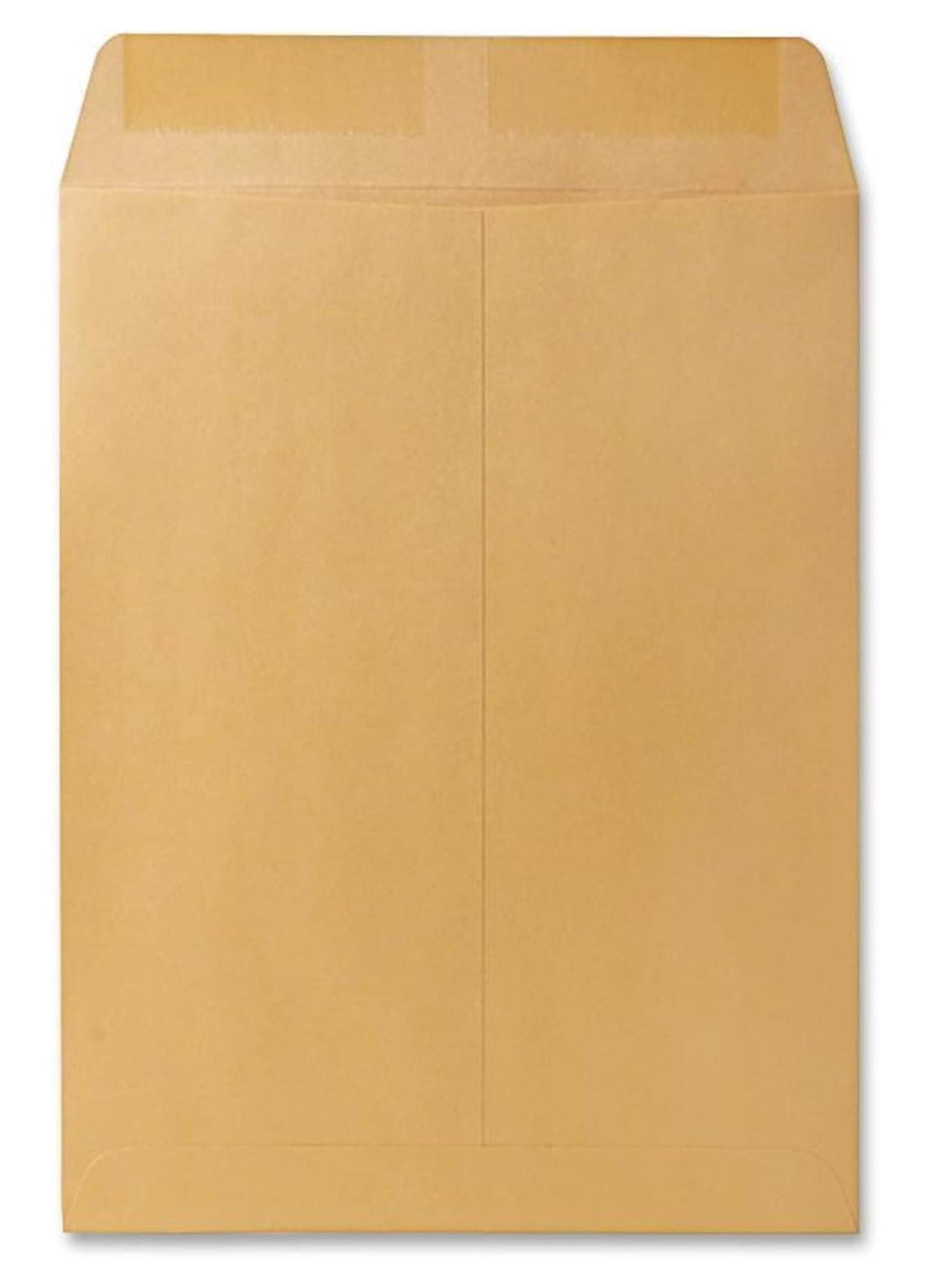 Catalog Mailing Envelopes, 9 1/2 x 12 1/2 Envelopes, Gummed, Heavy 28 lb. Paper, For Mailing, Organizing and Storage, 250 per Box (QUA41565)