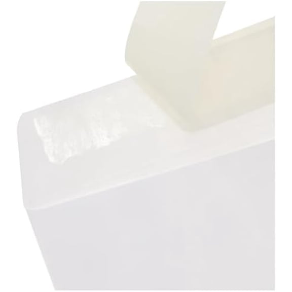 Catalog Mailing Envelopes, Peel and Seal, 9x12 Inch, 100-Pack, White