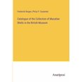 thumbnail image 1 of Catalogue of the Collection of Mazatlan Shells in the British Museum, (Paperback), 1 of 1