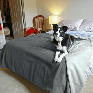 Best waterproof online blanket for bed