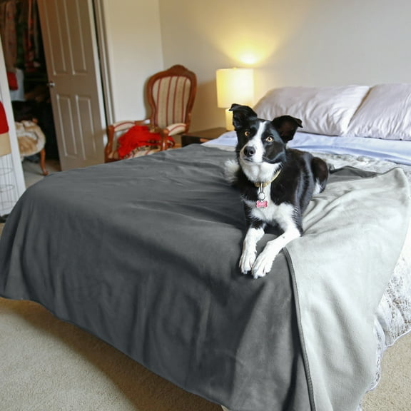 Catalonia Waterproof Blanket, Pee Proof Couch Sofa Bed Protector Cover for Baby, Super Cozy Plush Fleece Warm Sherpa Lining Throws and Blankets for Boating Camping, Grey, 60" x 80"