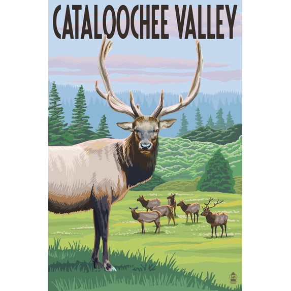 Cataloochee Valley, North Carolina, Elk Herd (16x24 Giclee Gallery Art Print, Vivid Textured Wall Decor)