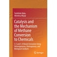 thumbnail image 1 of Catalysis and the Mechanism of Methane Conversion to Chemicals: C-C and C-O Bonds Formation Using Heterogeneous, Homogen, (Paperback), 1 of 1