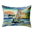 thumbnail image 1 of Catamarand Noncorded Pillow 16x20 Medium, 1 of 2