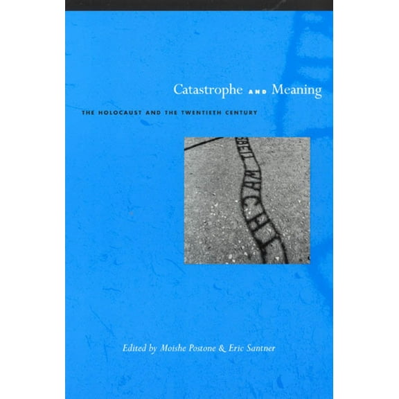 Catastrophe and Meaning : The Holocaust and the Twentieth Century (Paperback)