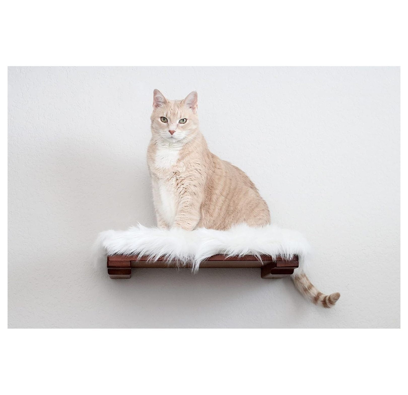 Gallery Detail: Catastrophic Creations Cat Shelf With Plush Bed