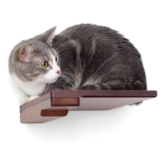Catastrophic Creations Wooden Cat Step Floating Shelf (English Chestnut Bamboo) Cat Wall Furniture for Indoor Cat Platform Climber Wooden Cat Shelves Playing & Jumping Cat Wall Shelves
