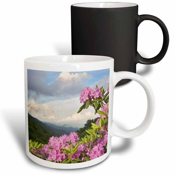 3drose, Catawba Rhododendron Flower, Great Smoky Mountains, Nc - Us34 Aje0046 - Adam Jones, 11oz Magic Transforming Mug