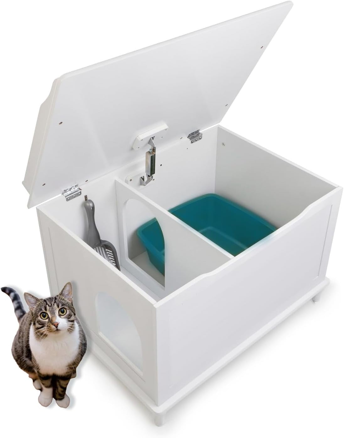 Keep Dog Out Litter Box