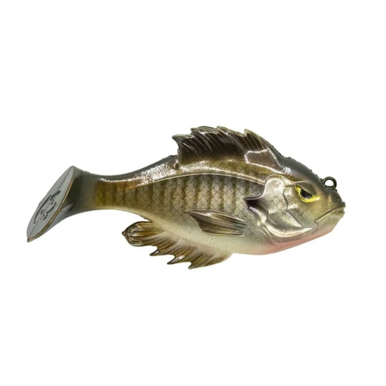Premium Photo  A fish with spikes on its head is shown with a