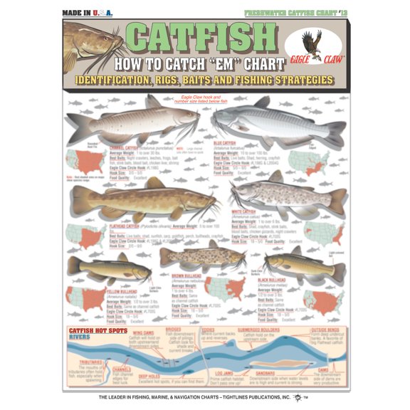 How to Catch 'Em Catfish Identification #13 (Identification, Rigs, & Fishing Strategies) - Waterproof Quick Reference Guide | Portable & Built to Last | Double-Sided & Easy to Read
