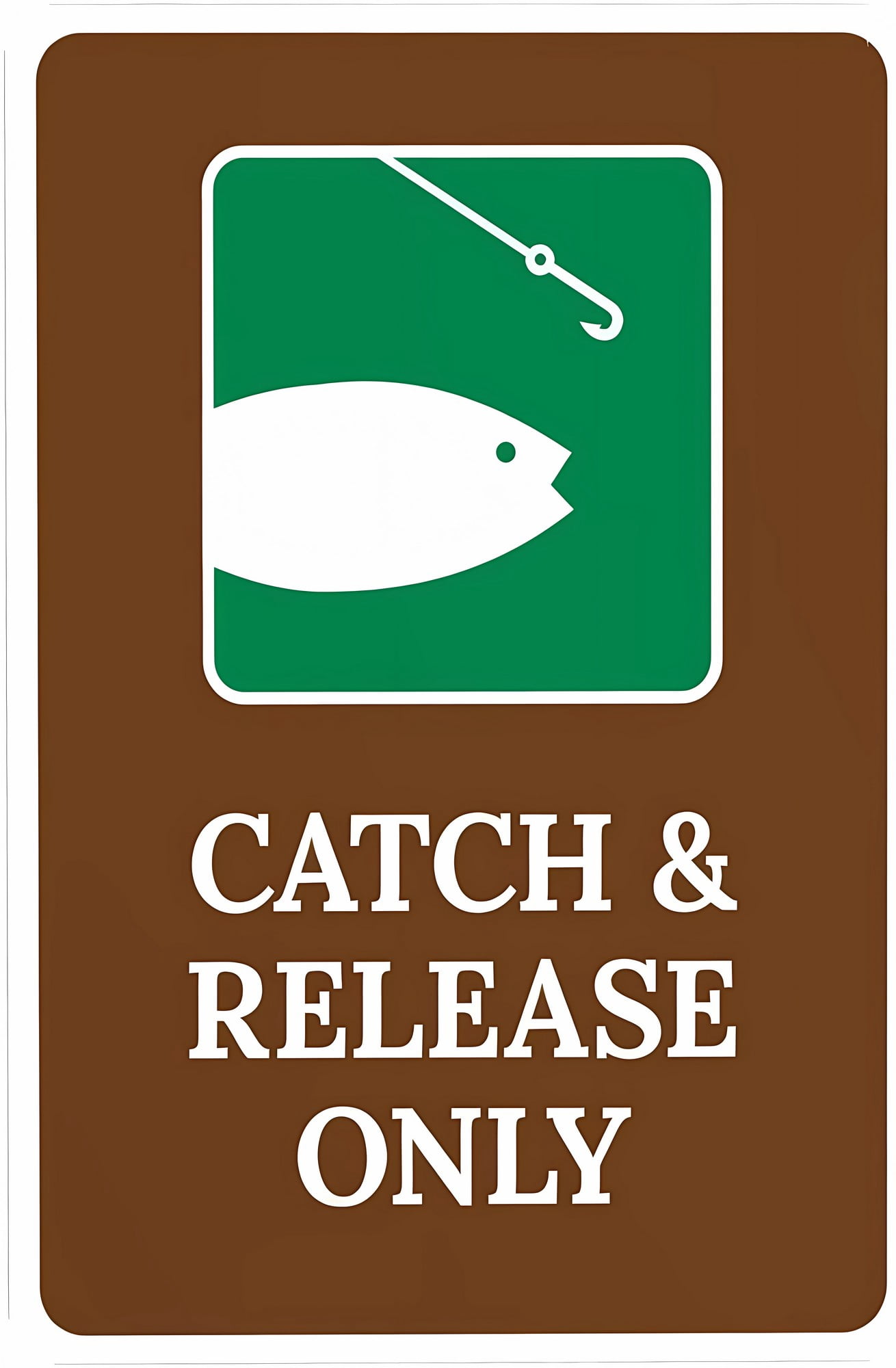 Catch and Release Only Warning Sign, 8