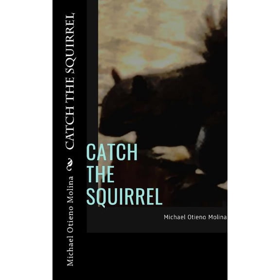 Catch The Squirrel (Paperback)