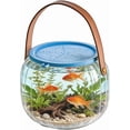 thumbnail image 1 of Catch and Release Beach Aquarium, Portable PET Fish Tank with 360° View, for Small Fish & Crabs, Outdoor Kids Exploration, 1 of 6