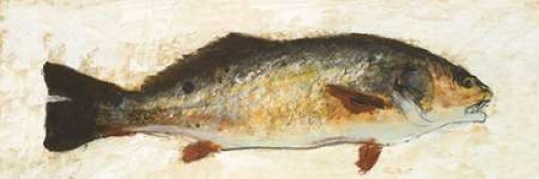 Catch of the Day I Canvas Art - Walt Johnson (12 x 36)