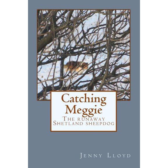 Catching Meggie the Runaway Shetland Sheepdog (Paperback)