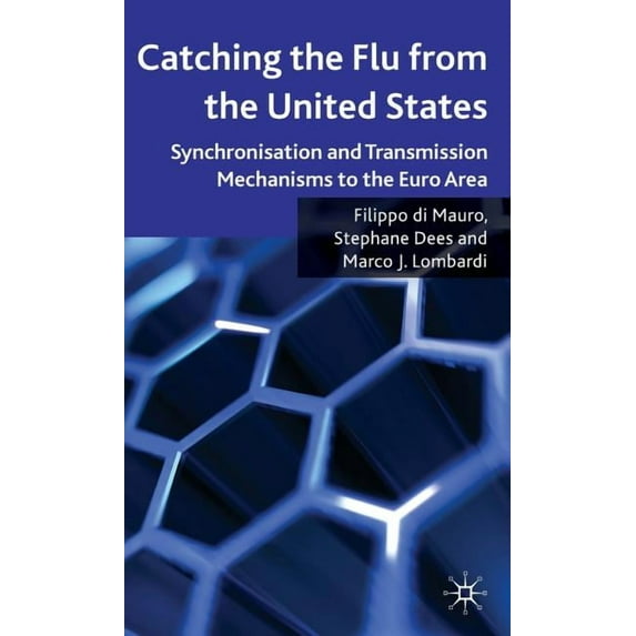 Catching the Flu from the United States: Synchronisation and Transmission Mechanisms to the Euro Area, (Hardcover)