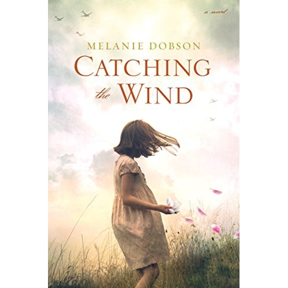 Pre-Owned Catching the Wind (Paperback) 1496417283 9781496417282