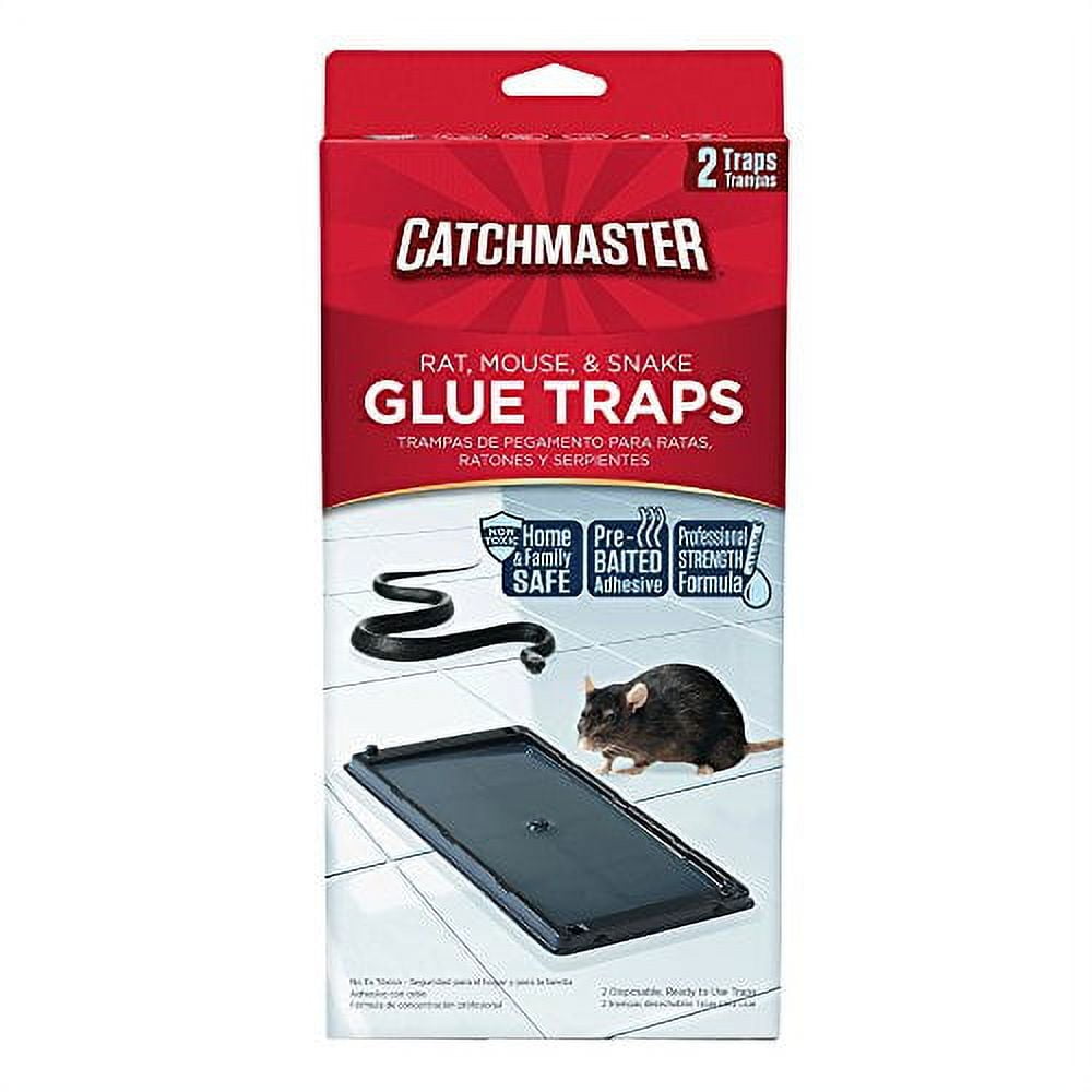 https://i5.walmartimages.com/seo/Catchmaster-402-Baited-Rat-Mouse-and-Snake-Glue-Traps-Professional-Strength-2-Pack_211f5558-8d2d-448d-82bf-d1825f97db37.049029ee91ad1f6f0fdc8866096e526d.jpeg