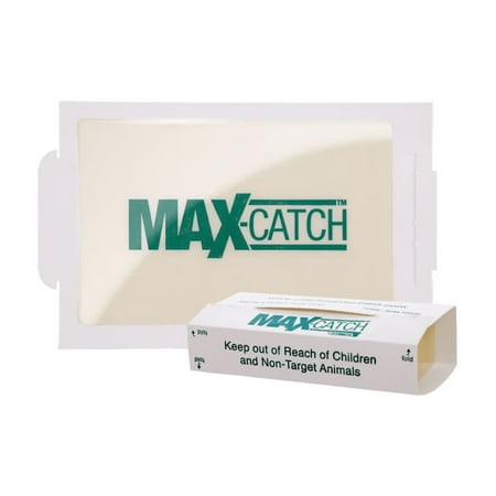Catchmaster Max-Catch Mouse & Insect Glue Trap 36pk, Mouse Traps Indoor for Home, Sticky Pest Control Adhesive Tray for Catching Bugs, Rats & Rodents, Non Toxic Bulk Pre-Baited Glue Boards