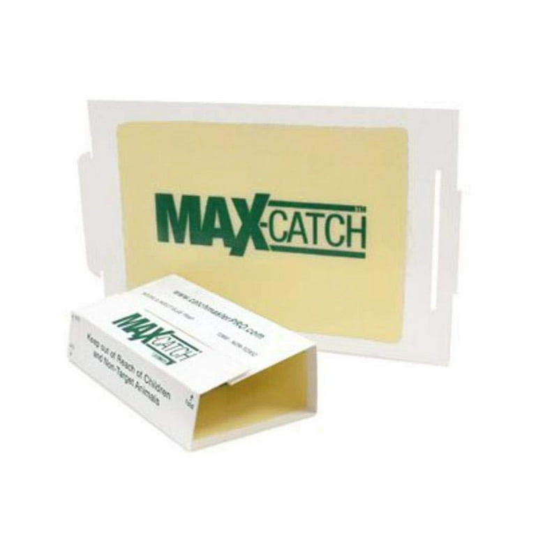 Catchmaster 72Max Glue Trap