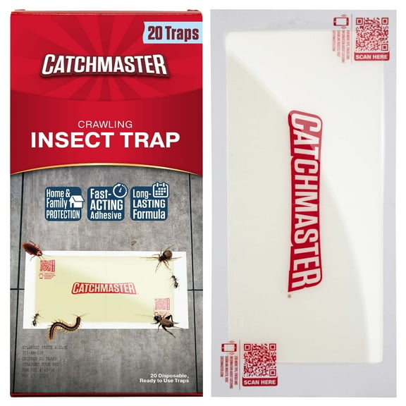 Catchmaster Insect Trap and Monitor, XL Giant Crawling Insect Traps 20-PK, Cricket, Ant, Roach & Spider Traps, Bulk Glue Boards for Roaches & Pests