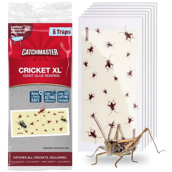 Catchmaster Cricket XL Giant Glue Traps 6-Pk, Bug Catcher Sticky Traps for Inside Home